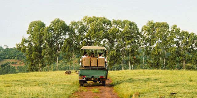 Bel ombre wilderness tour at bel ombre nature reserve (5)